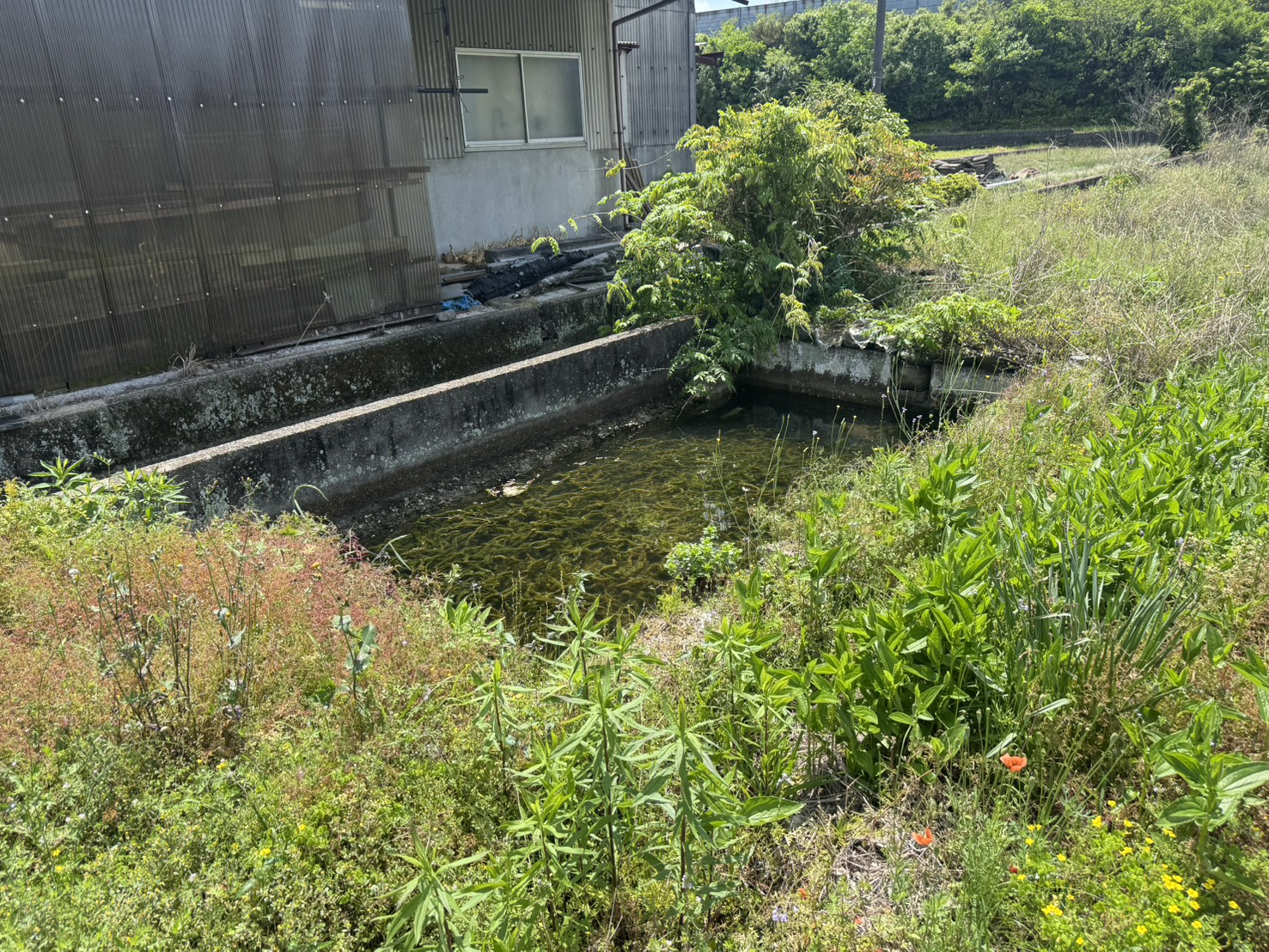 【物件番号1267】山口市名田島　現況古家ありの建替え用地